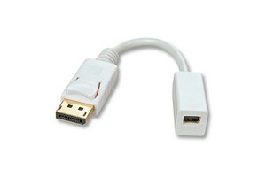 Adaptateur DisplayPort - 120345