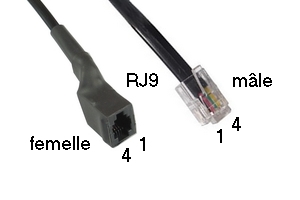 Câble RJ9 - 308050