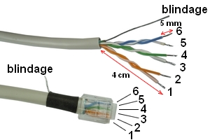 Câble RJ12 - 310120